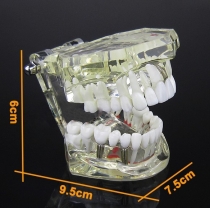 Demonstratiemodel demontabel