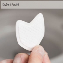 Dry Dent, Small, Parotid, 50 stuks, Directa